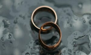 article_32491567_featured_1776683767